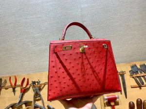 HM KL 25cm - Ostrich Leather - 53 rouge vif 正红色/金扣