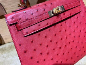 HM KL 25cm - Ostrich Leather - 53 rouge vif 正红色/金扣