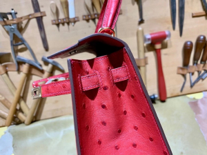 HM KL 25cm - Ostrich Leather - 53 rouge vif 正红色/金扣
