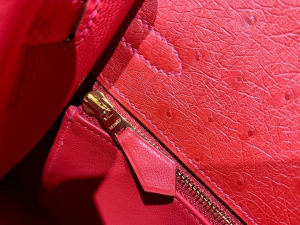 HM KL 25cm - Ostrich Leather - 53 rouge vif 正红色/金扣