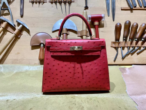 HM KL 25cm - Ostrich Leather - 53 rouge vif 正红色/金扣