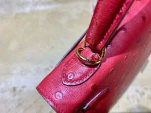 HM KL 25cm - Ostrich Leather - 53 rouge vif 正红色/金扣