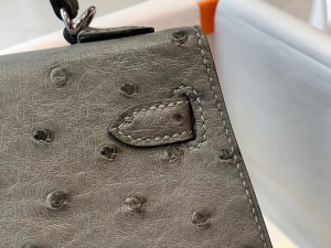 HM expo dubai kl mini 2 ostrich 8f color