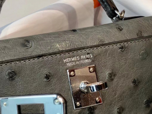 HM expo dubai kl mini 2 ostrich 8f color