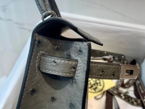 HM expo dubai kl mini 2 ostrich 8f color