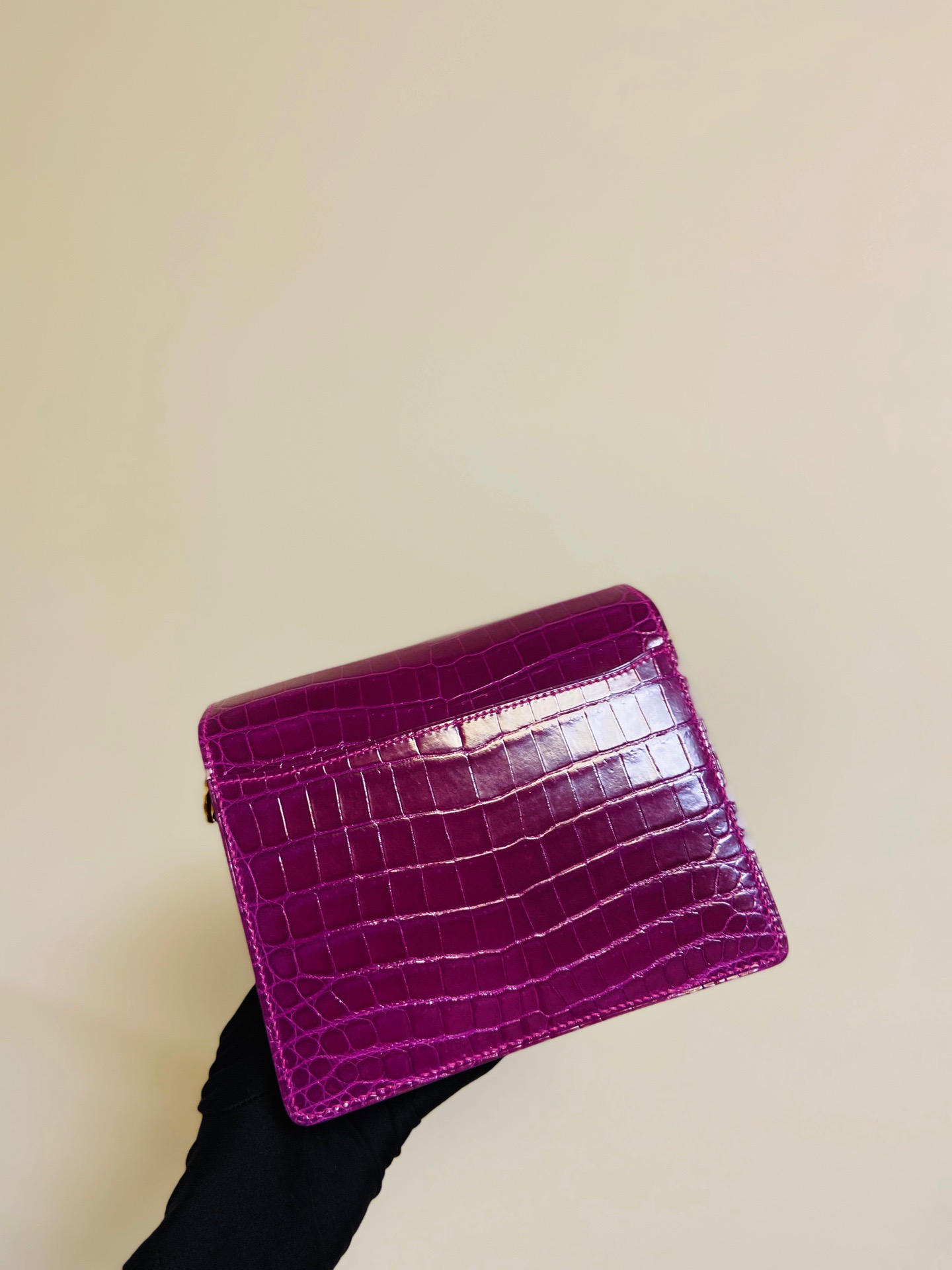 United Arab Emirates HM RL mini  Crocodile leather