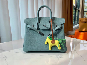 Expo Dubai 2020 HM VIP一级品 BK25cm togo 皮 7G bleu ciel 天青色/银扣