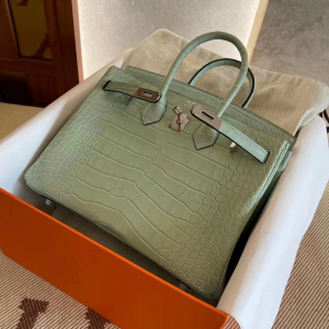 Vancouver Canada HM BK 25cm 6U Vert Dfau 薄荷绿 Matte Alligator Crocodile