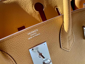 HM Hong Kong VIP一级品： BK 30cm togo皮   4B Biscuit 饼干色🍪/银扣