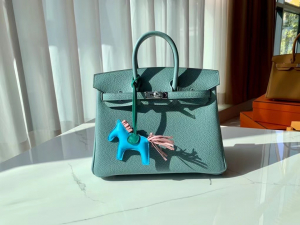 Expo Dubai 2020 HM VIP一级品 BK25cm togo 皮 7G bleu ciel 天青色/银扣