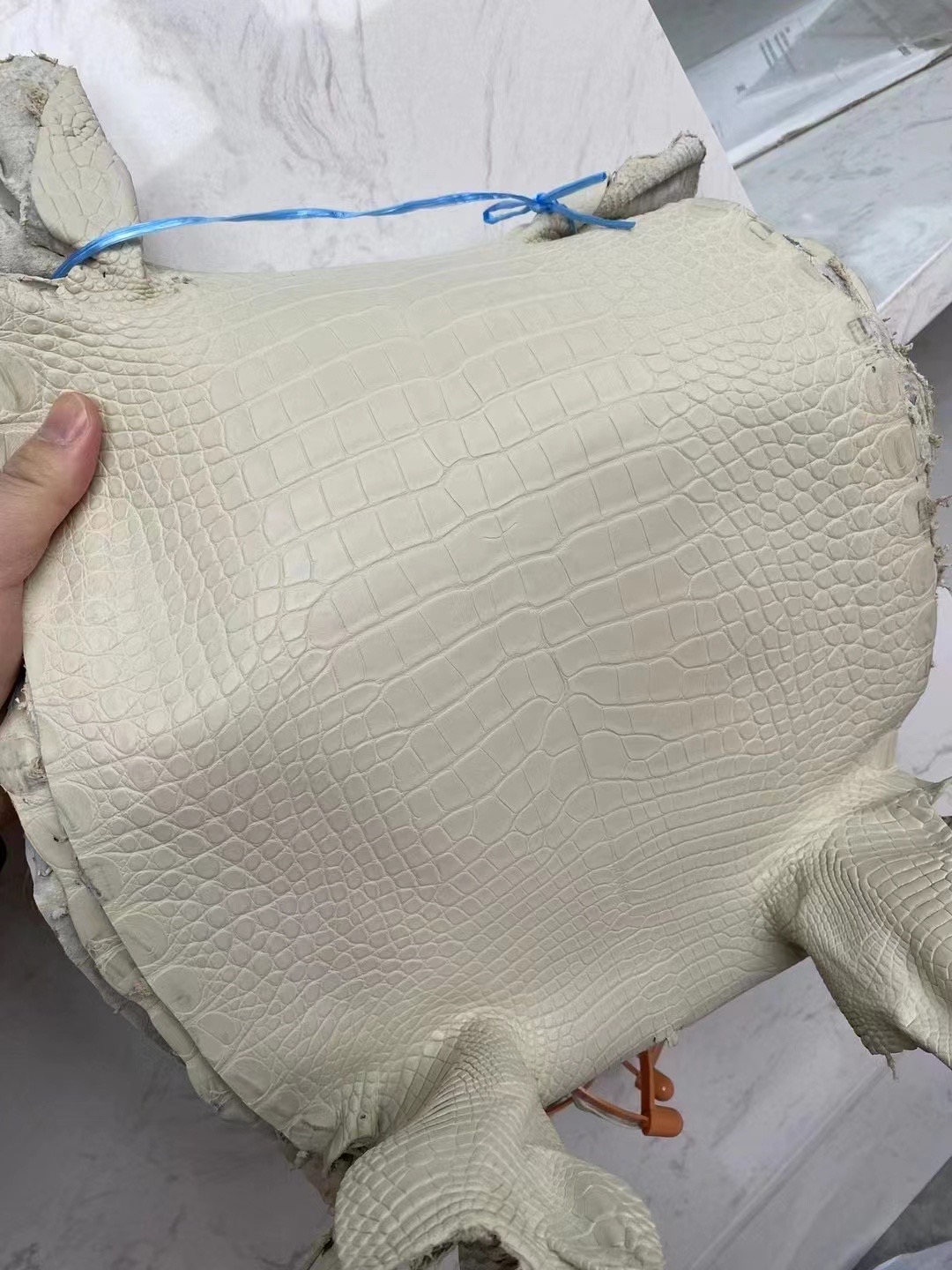 新到皮🐊雾面美洲鳄鱼 8L Beton 奶油白 Matte Alligator Crocodile HM Hong Kong-HaiLaBags 新到皮🐊雾面美洲鳄鱼 8L Beton 奶油白 Matte Alligator Crocodile HM Hong Kong