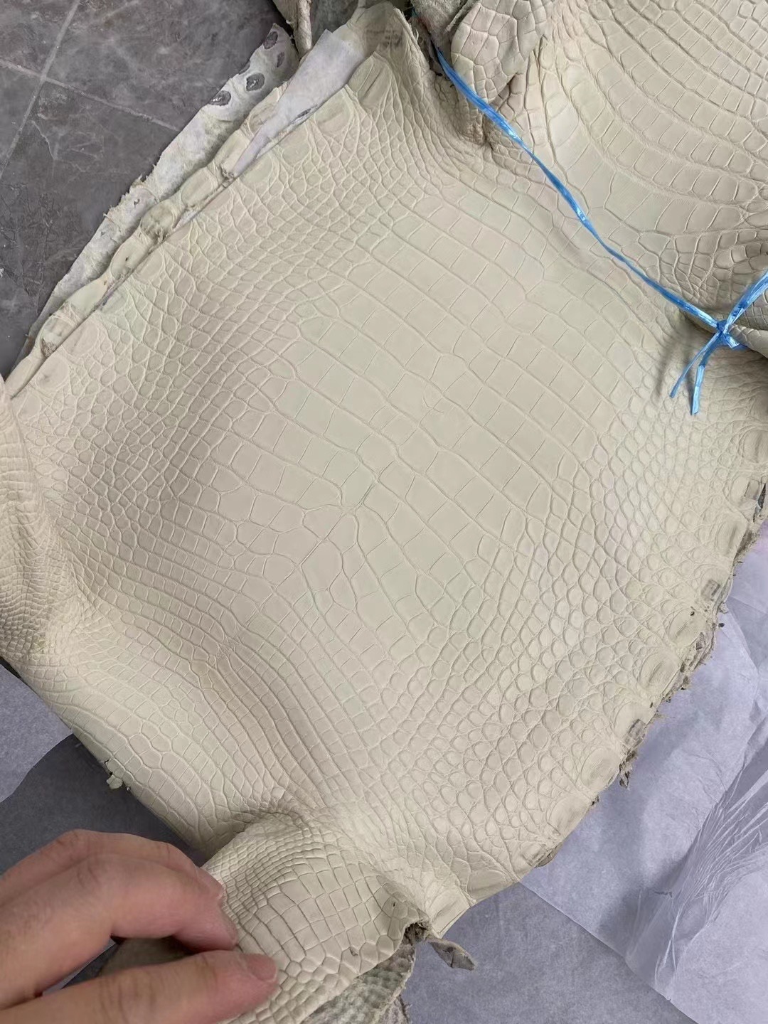 新到皮🐊雾面美洲鳄鱼 8L Beton 奶油白 Matte Alligator Crocodile HM Hong Kong