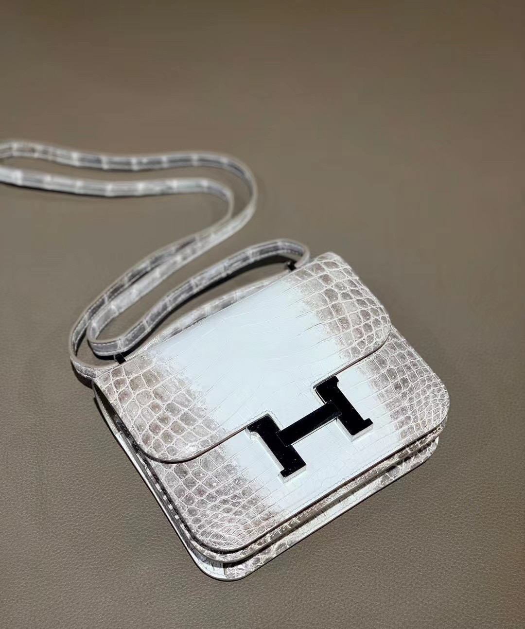United Arab Emirates HM Constance 24cm 喜马拉雅 01 BLANC Nilo Crocodile Himalayan