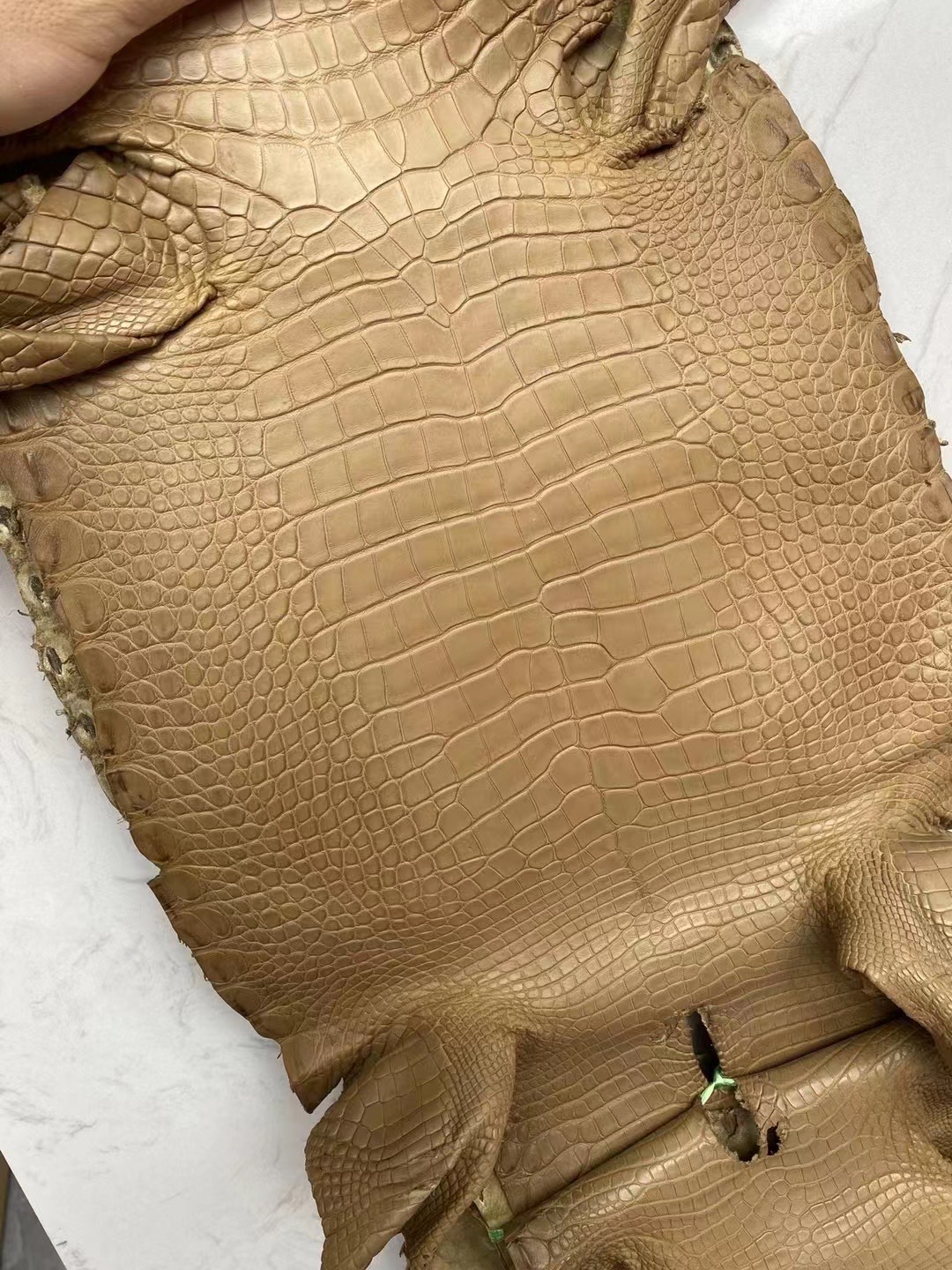 新到皮🐊雾面美洲鳄鱼 2H Kraft 牛皮纸色 Matte Alligator Crocodile HM