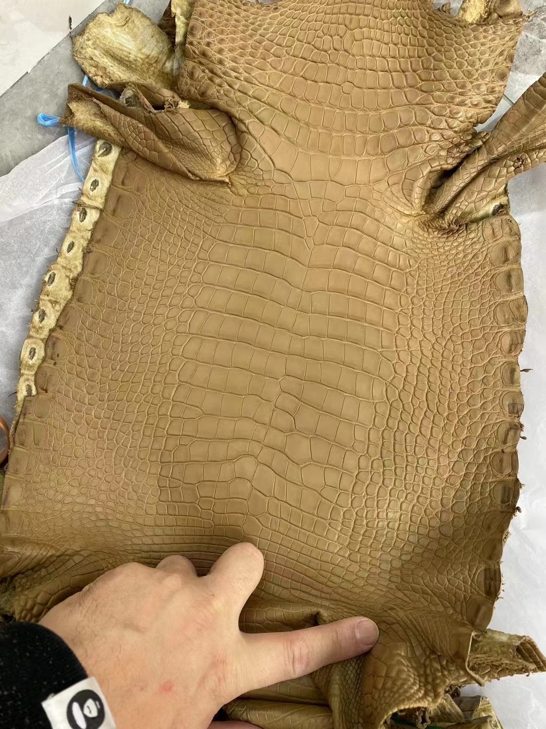新到皮🐊雾面美洲鳄鱼 2H Kraft 牛皮纸色 Matte Alligator Crocodile HM