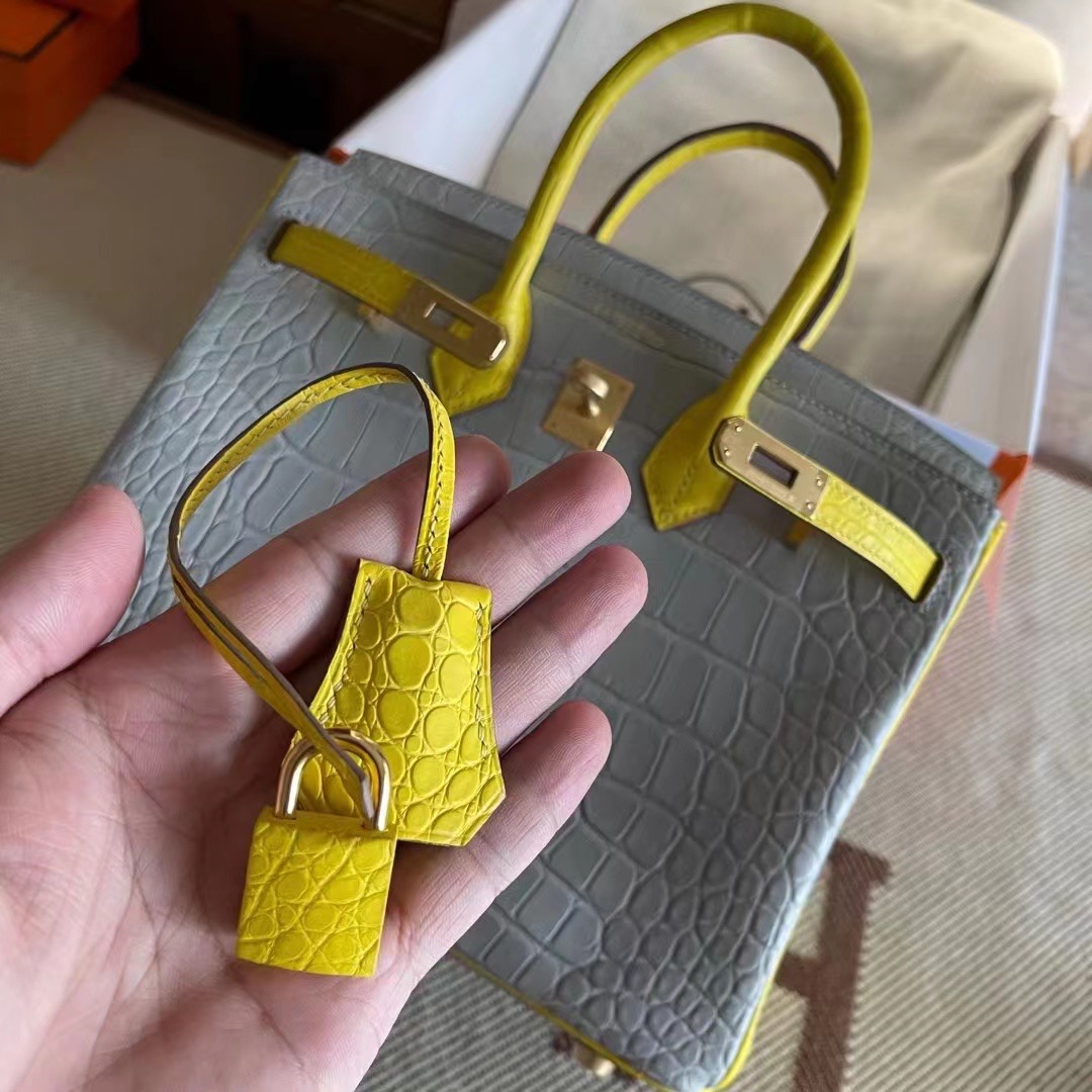 United Arab Emirates HM BK 25cm Matte Alligator Crocodile CC80 Griss Pearl / M9 Mimosa 金盏花黄