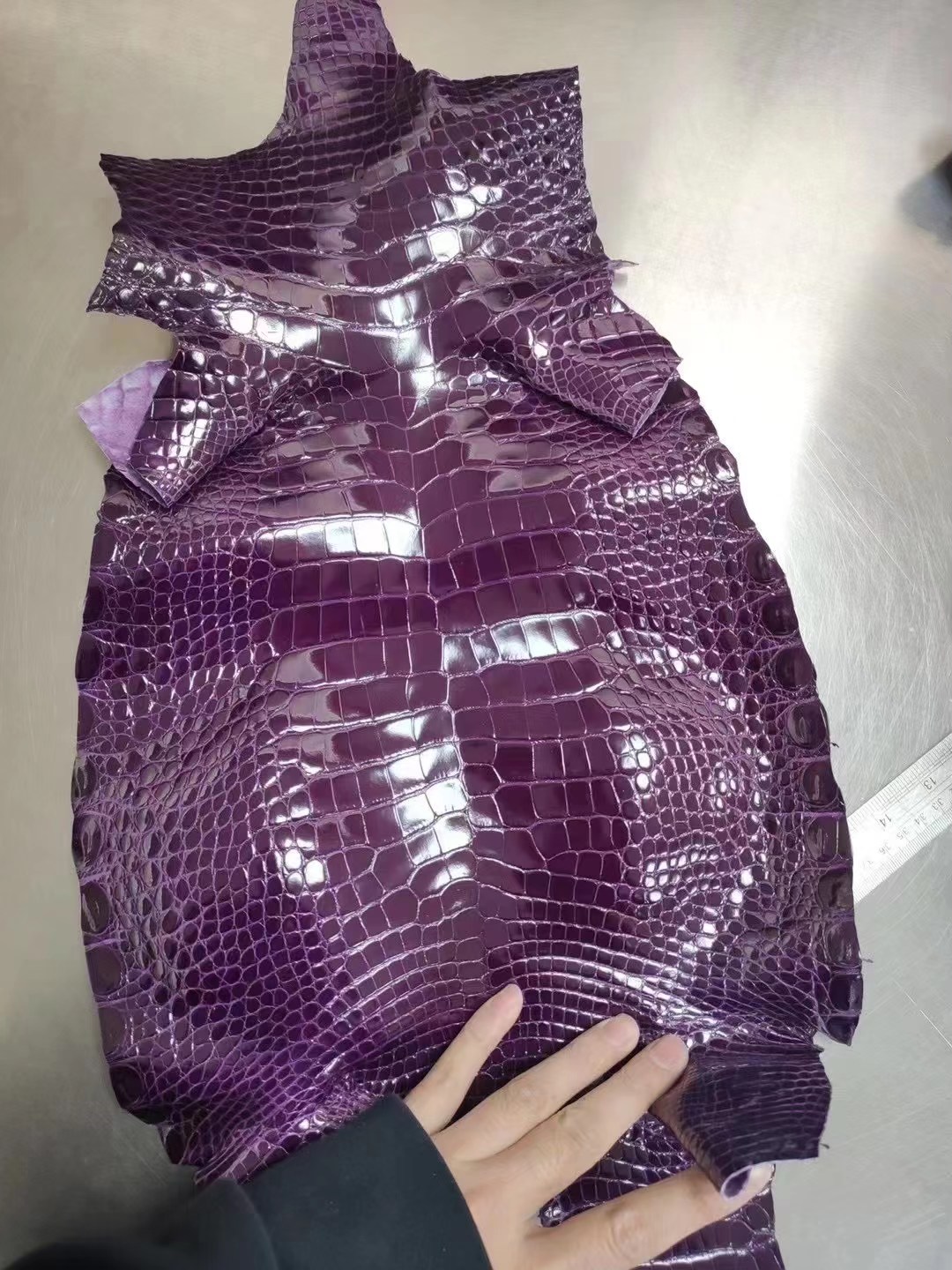 HM Crocodile leather