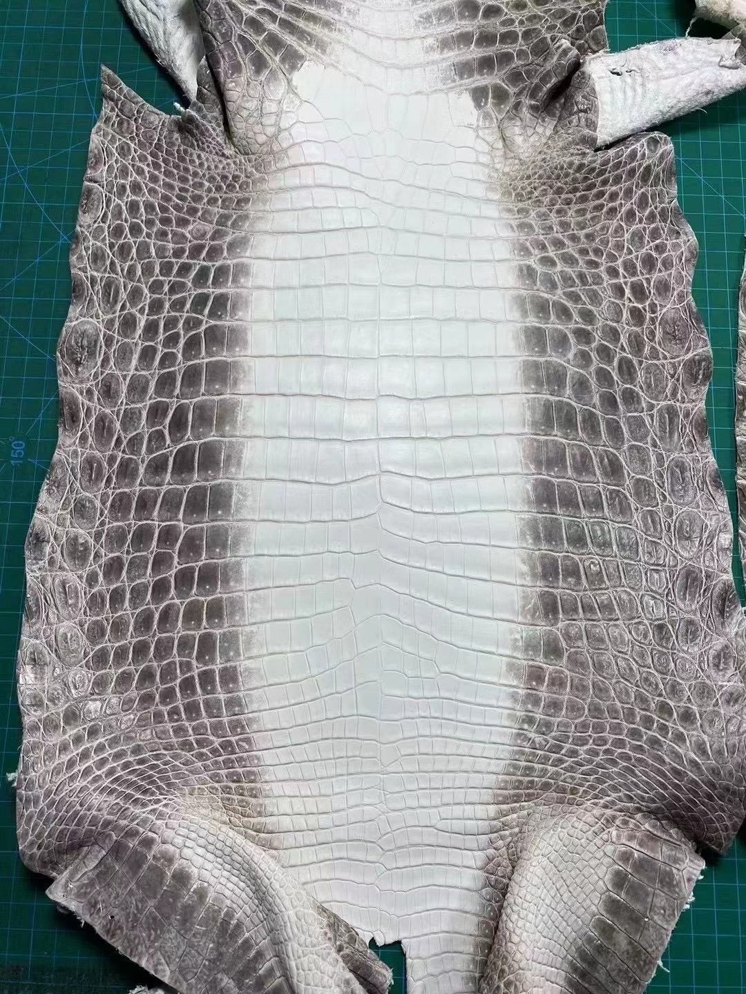 HM Crocodile leather