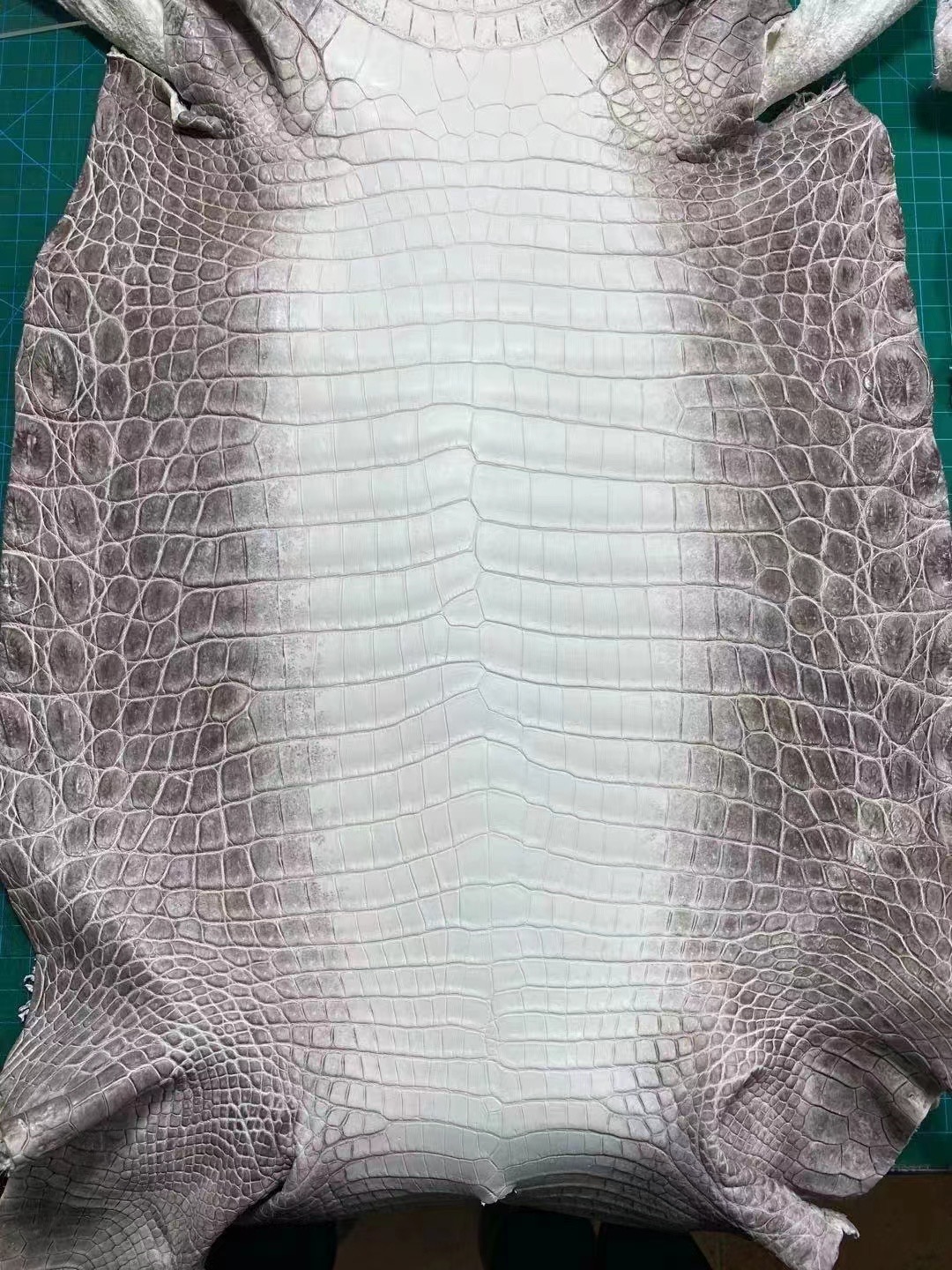 Custom HM Crocodile Himalayan Leather