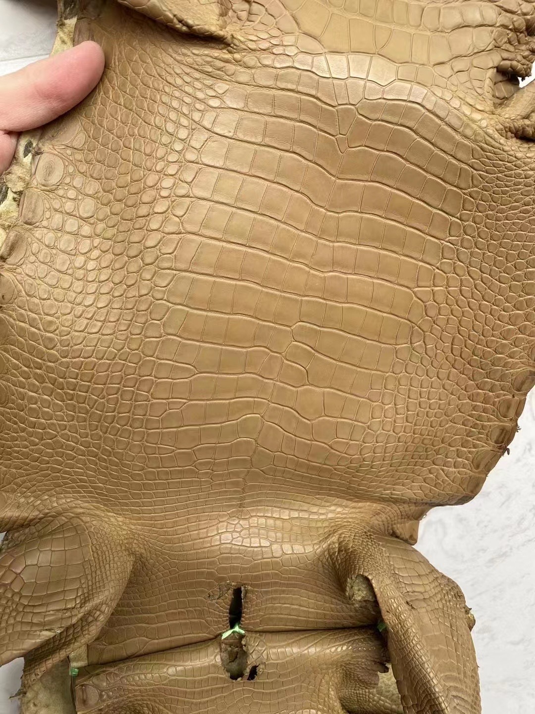 新到皮🐊雾面美洲鳄鱼 2H Kraft 牛皮纸色 Matte Alligator Crocodile HM