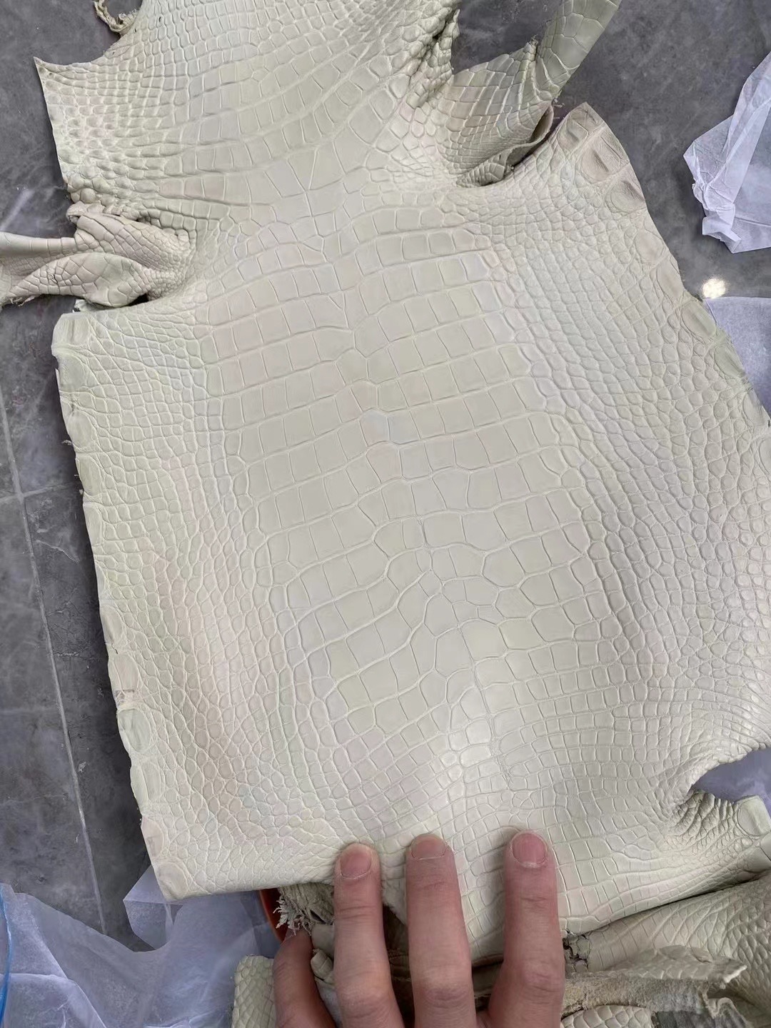 新到皮🐊雾面美洲鳄鱼 8L Beton 奶油白 Matte Alligator Crocodile HM Hong Kong