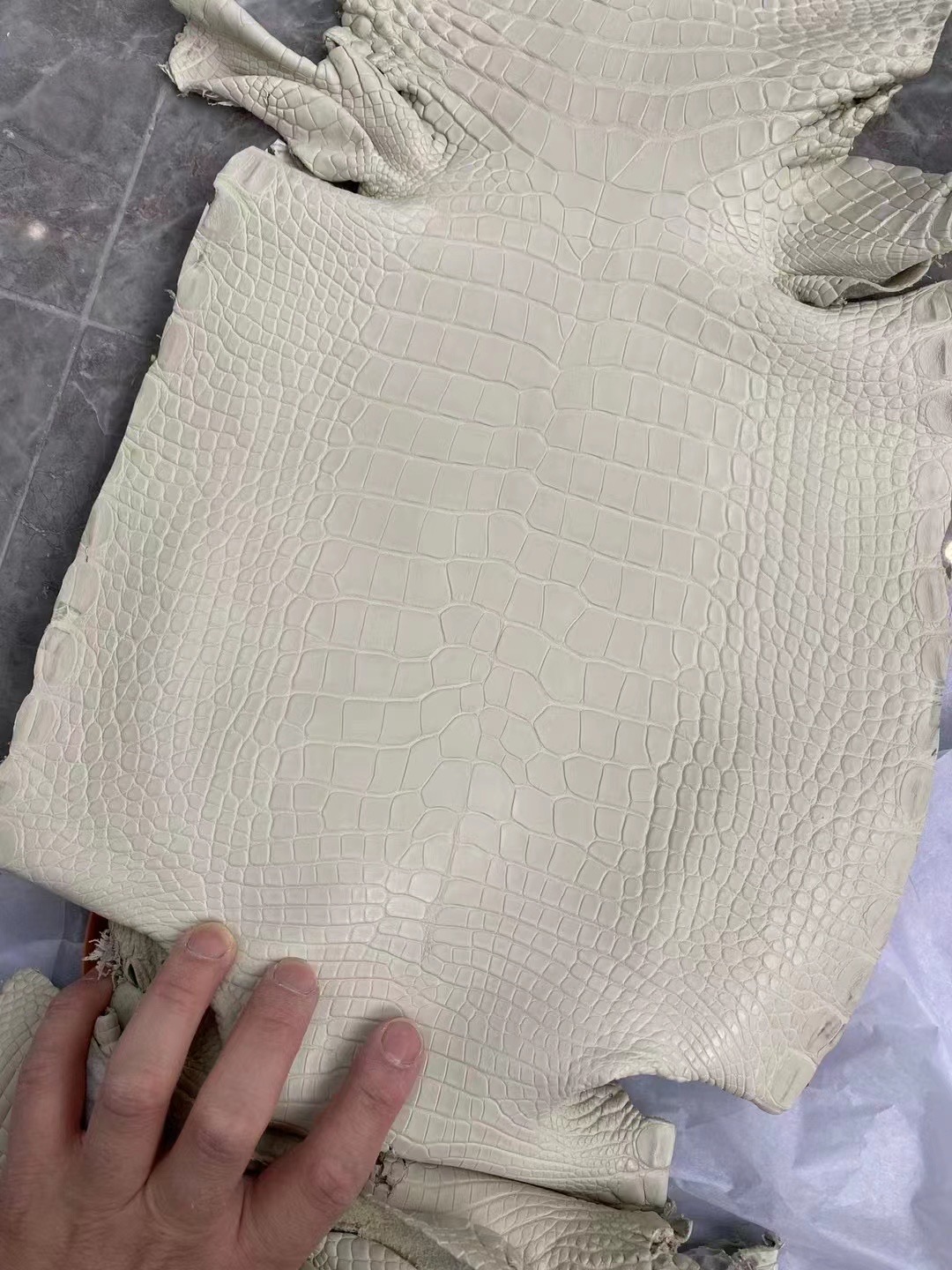 新到皮🐊雾面美洲鳄鱼 8L Beton 奶油白 Matte Alligator Crocodile HM Hong Kong
