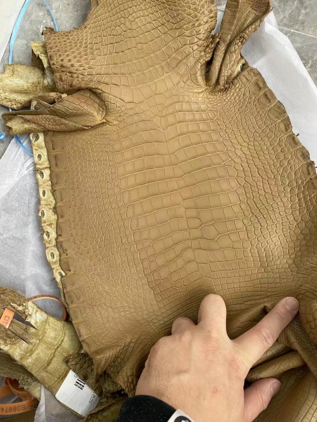 新到皮🐊雾面美洲鳄鱼 2H Kraft 牛皮纸色 Matte Alligator Crocodile HM-HaiLaBags 新到皮🐊雾面美洲鳄鱼 2H Kraft 牛皮纸色 Matte Alligator Crocodile HM