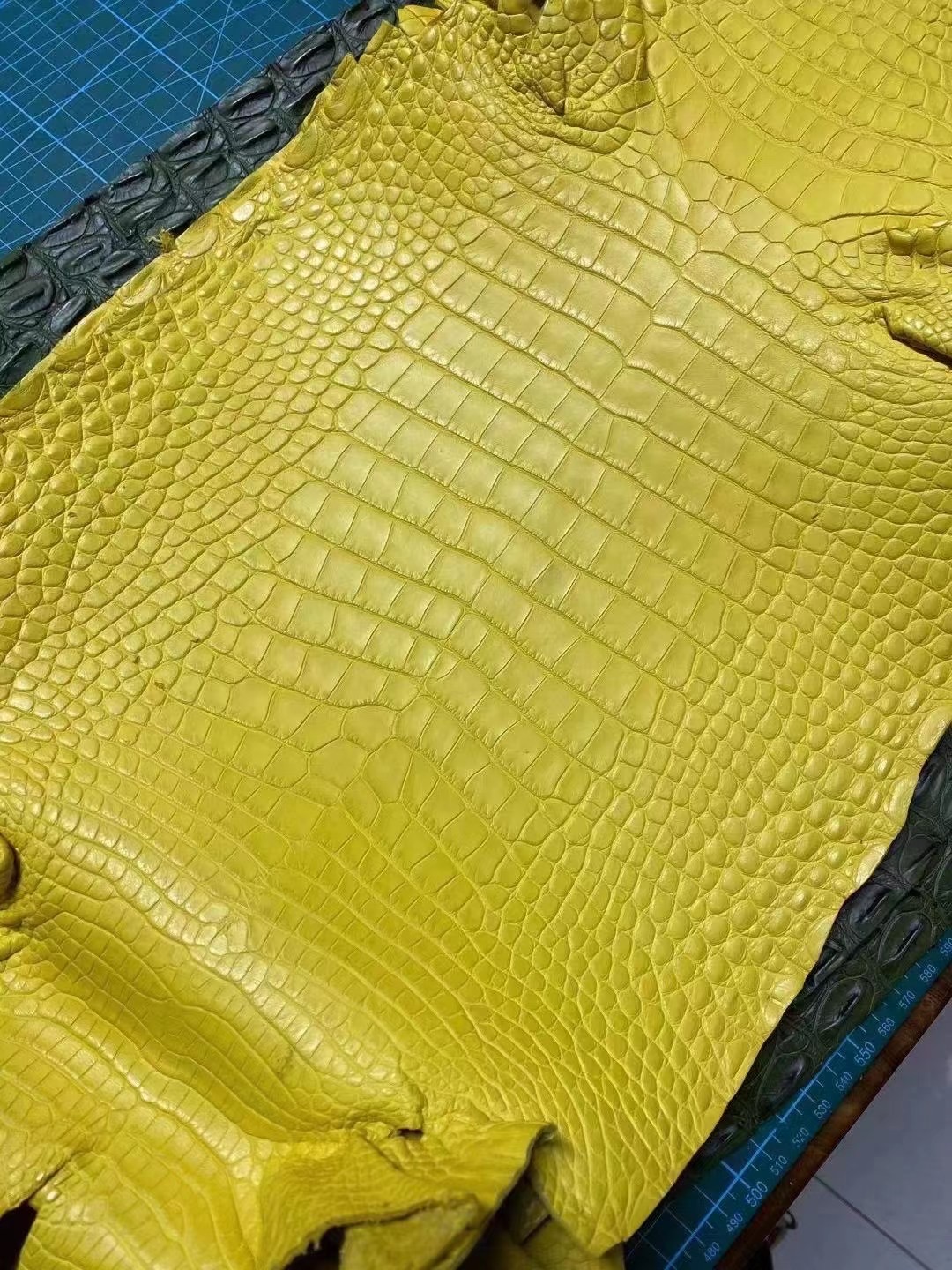 HM Crocodile leather