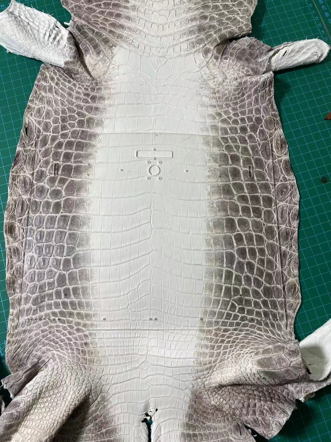 Custom HM Crocodile Himalayan Leather
