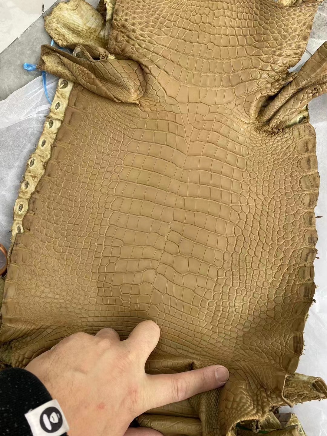 新到皮🐊雾面美洲鳄鱼 2H Kraft 牛皮纸色 Matte Alligator Crocodile HM