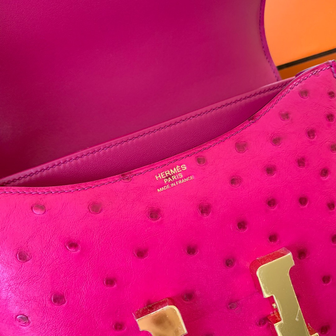 U.S.A HM Constance  L3玫瑰紫 Rose Purple Ostrich