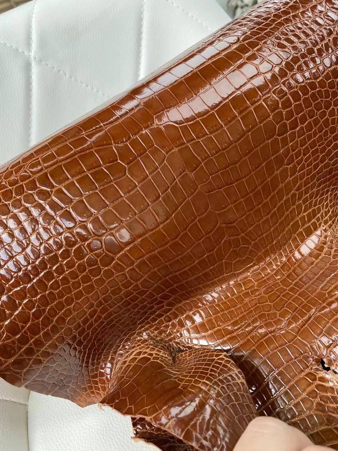 新到皮 亮面倒V 澳洲湾鳄🐊 31 Miel 蜜糖棕 Shiny porosus crocodile 🉑订制：BK 25cm、KL 25cm、接受订制👏