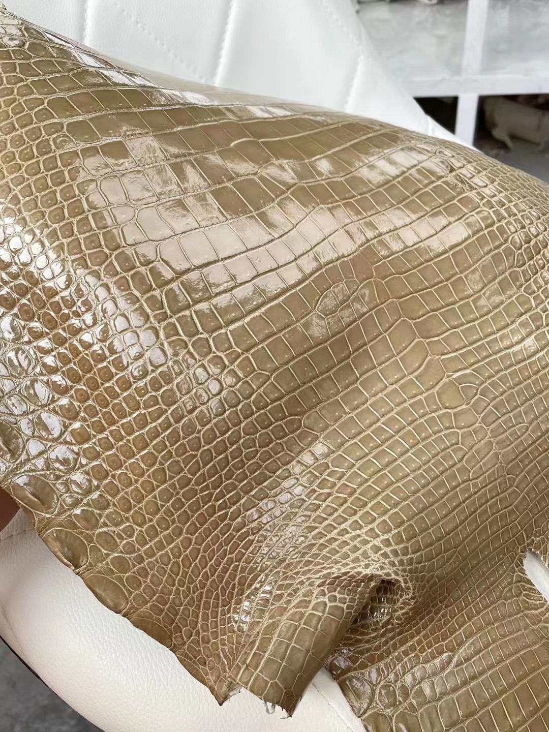 新到皮 亮面倒v 澳洲湾鳄🐊  1I Beige sable 沙米色 Shiny porosus crocodile 🉑 订制：BK 25cm、KL 25cm、接受订制👏