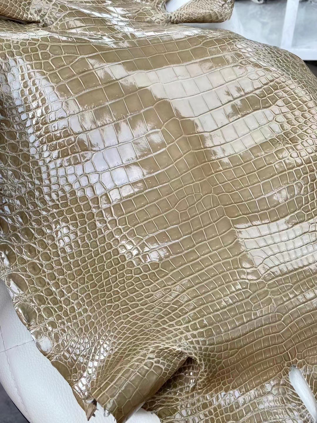 新到皮 亮面倒v 澳洲湾鳄🐊  1I Beige sable 沙米色 Shiny porosus crocodile 🉑 订制：BK 25cm、KL 25cm、接受订制👏