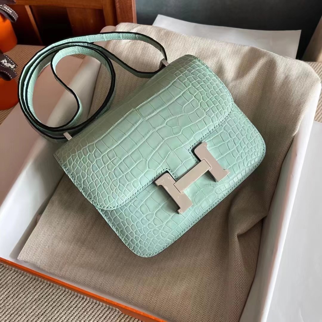 HM constance  19 crocodile 雾面美洲  6U Vert Deau 薄荷绿  银