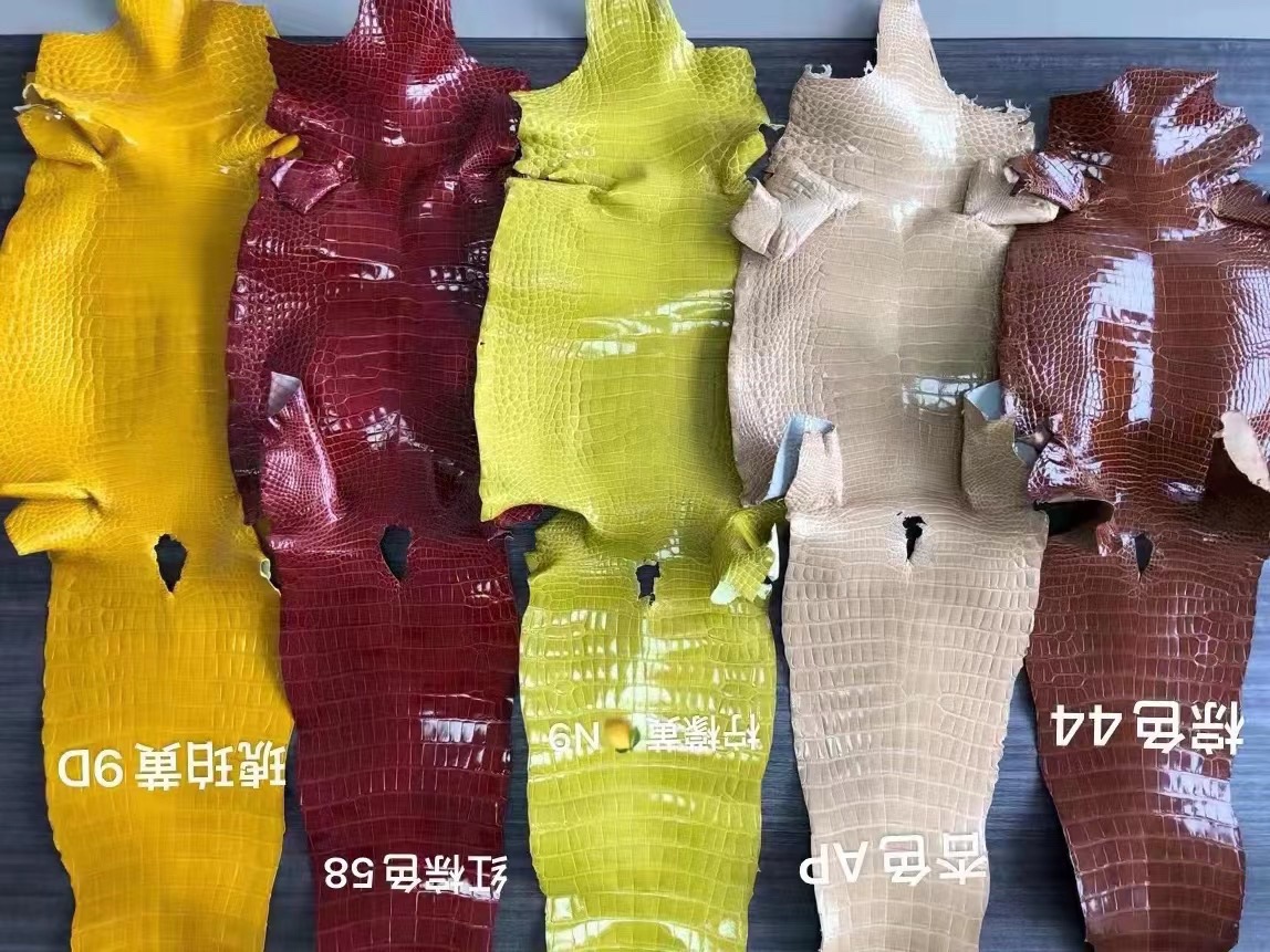 HM Crocodile Leather