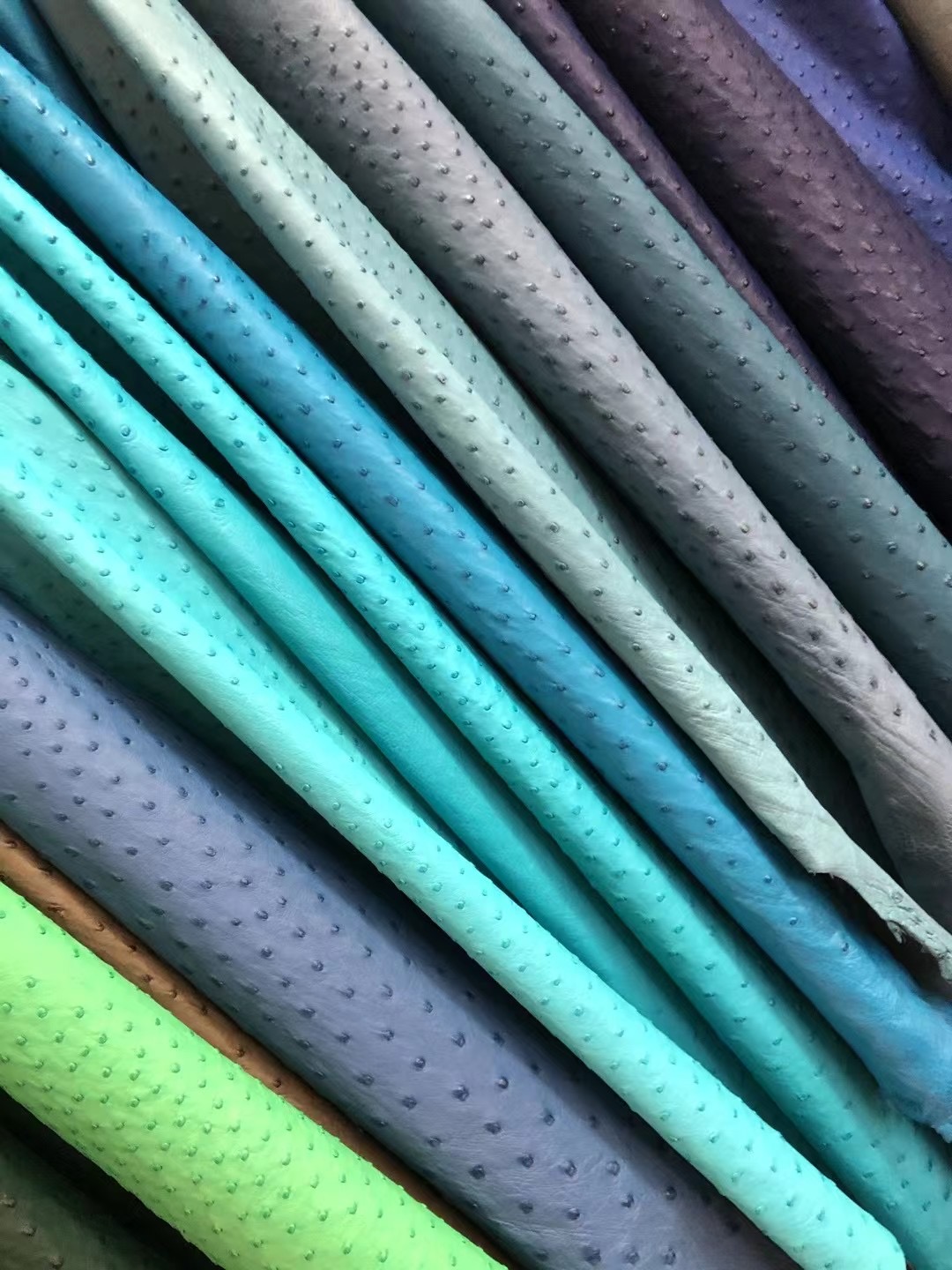 😍Ostrich kk鸵鸟 🉑️定制 pochette /mini kl ll/constance/ kl/BK ❤️