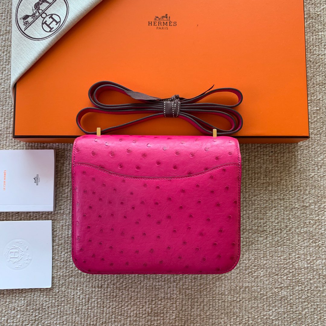 U.S.A HM Constance  L3玫瑰紫 Rose Purple Ostrich