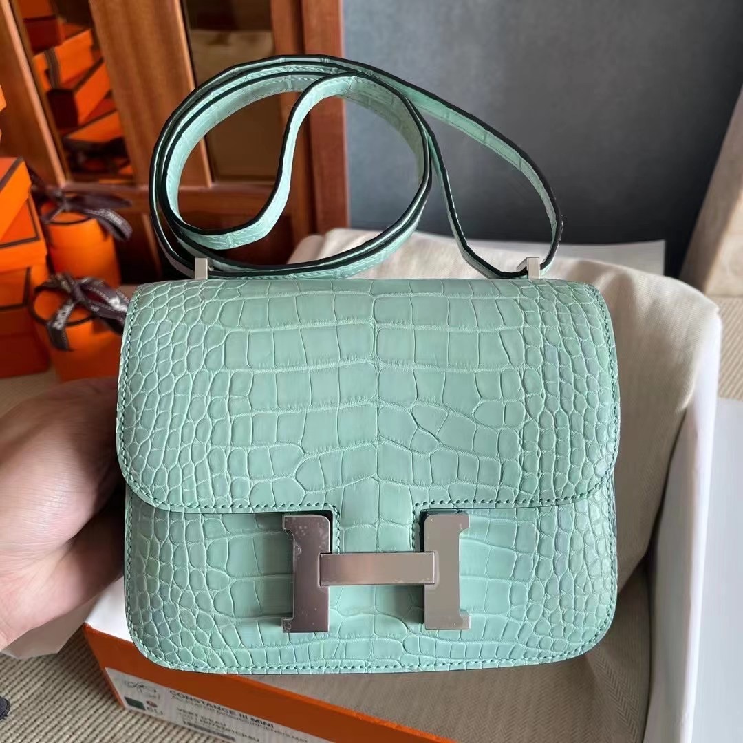 HM constance  19 crocodile 雾面美洲  6U Vert Deau 薄荷绿  银