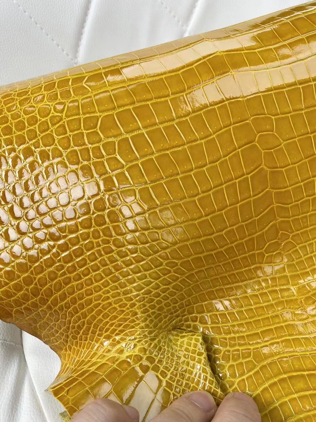 新到皮 亮面倒V 澳洲湾鳄🐊 9D Jaune Amber 琥珀黄 Shiny porosus crocodile 🉑订制：BK 25cm、KL 25cm、接受订制👏