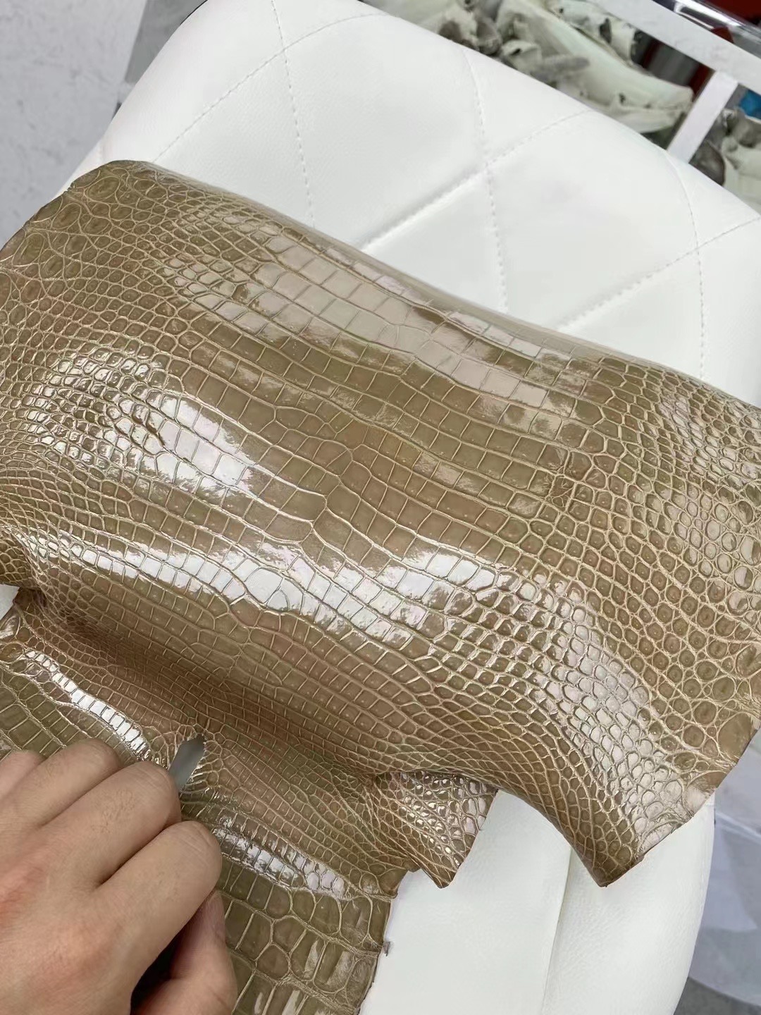 新到皮 亮面倒v 澳洲湾鳄🐊  1I Beige sable 沙米色 Shiny porosus crocodile 🉑 订制：BK 25cm、KL 25cm、接受订制👏