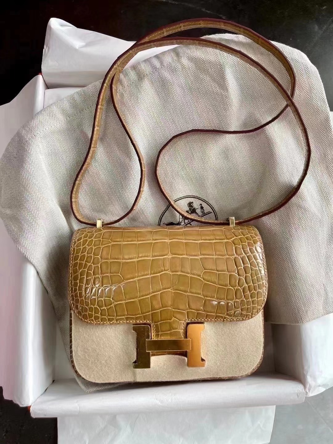HM Constance 18 Shiny alligator crocodile  1i Beige
