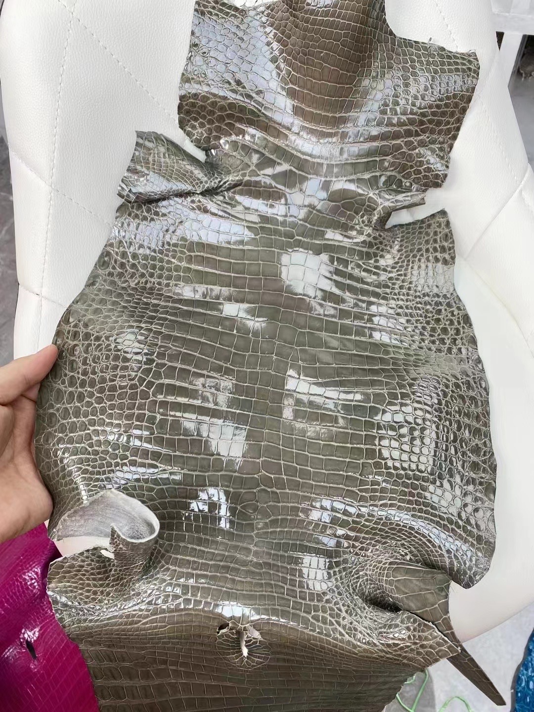 新到皮 亮面倒V 澳洲湾鳄🐊 81 Gris Tourterelle 斑鸠灰 Shiny porosus crocodile  🉑订制：BK 25cm、KL 25cm、接受订制👏