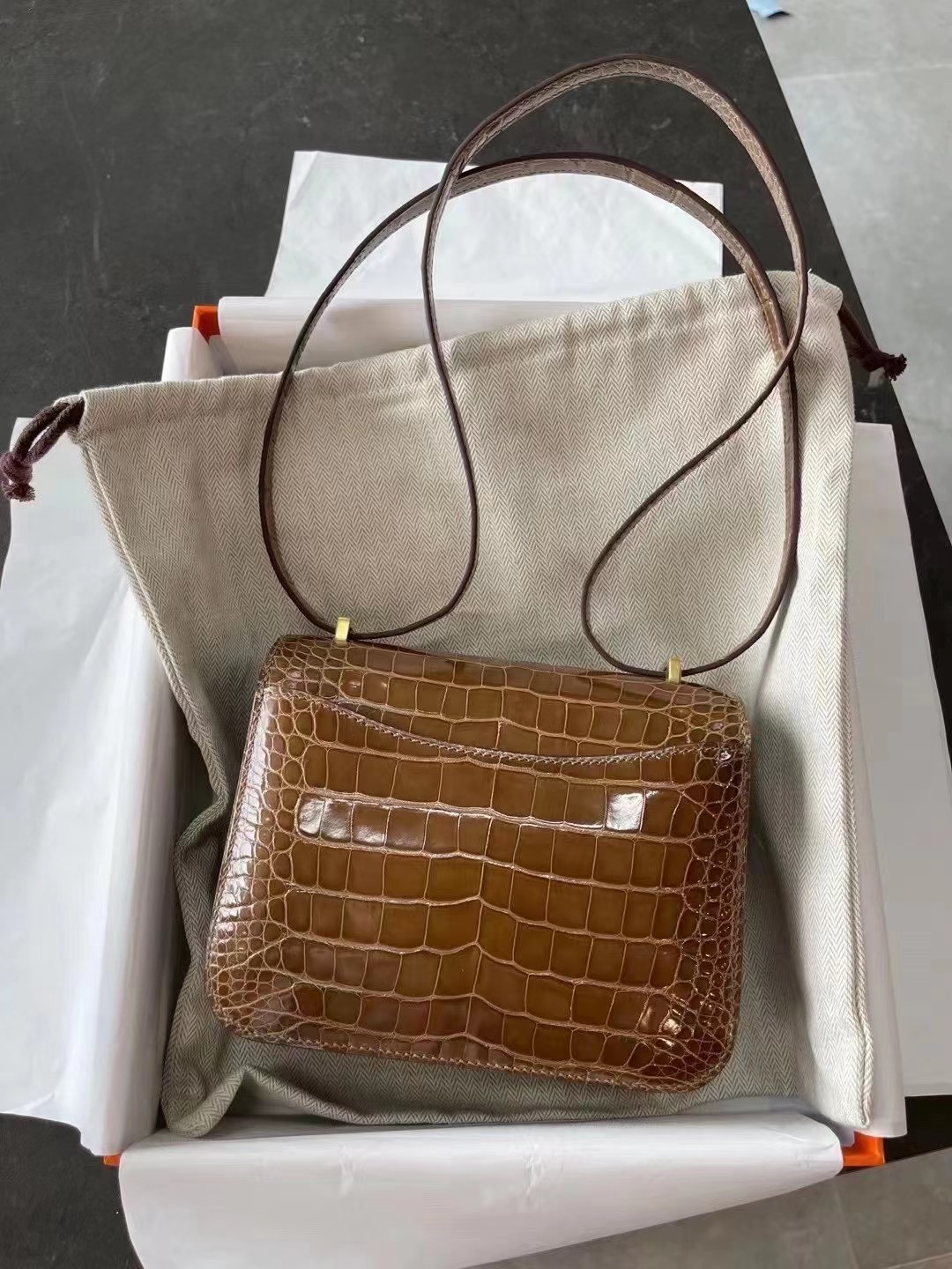 CONSTANCE 鳄鱼19cm 蜜糖棕 31 Miel Crocodile