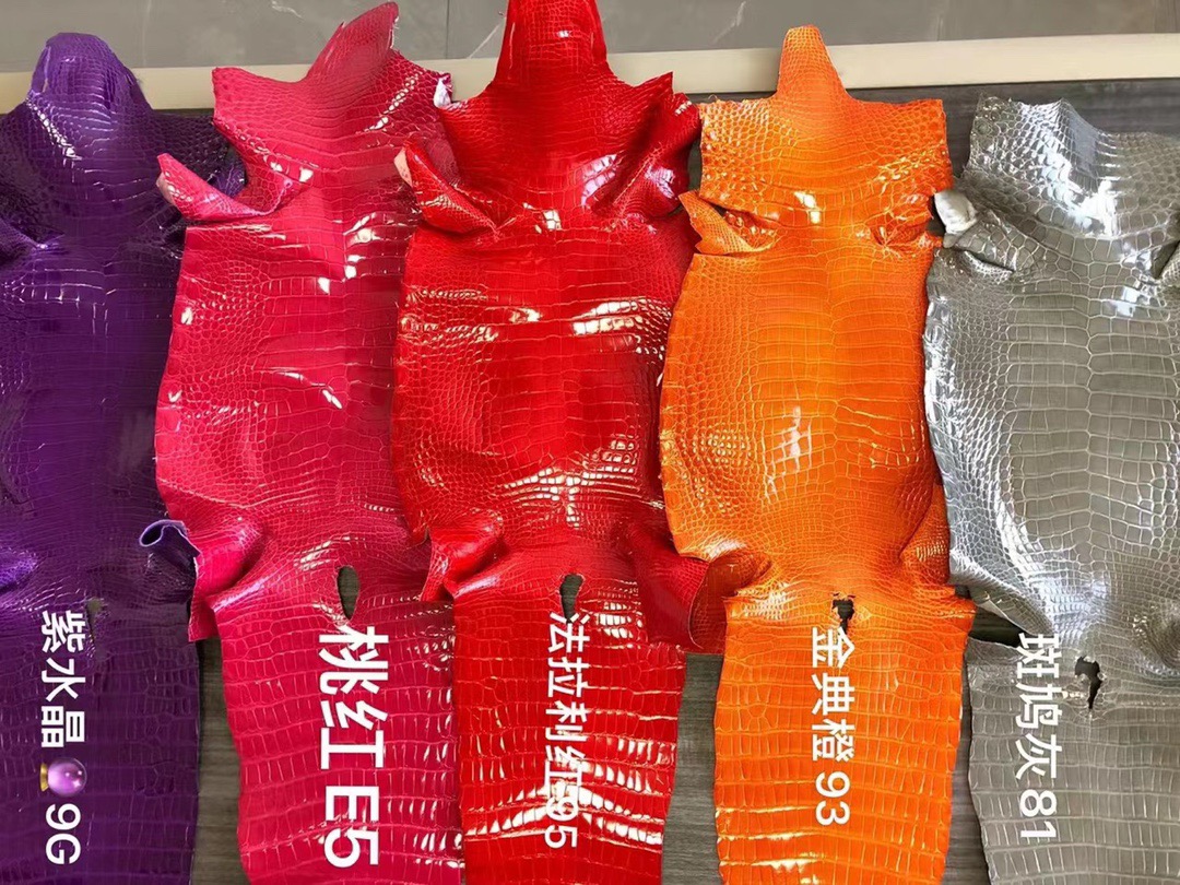 HM Crocodile Leather