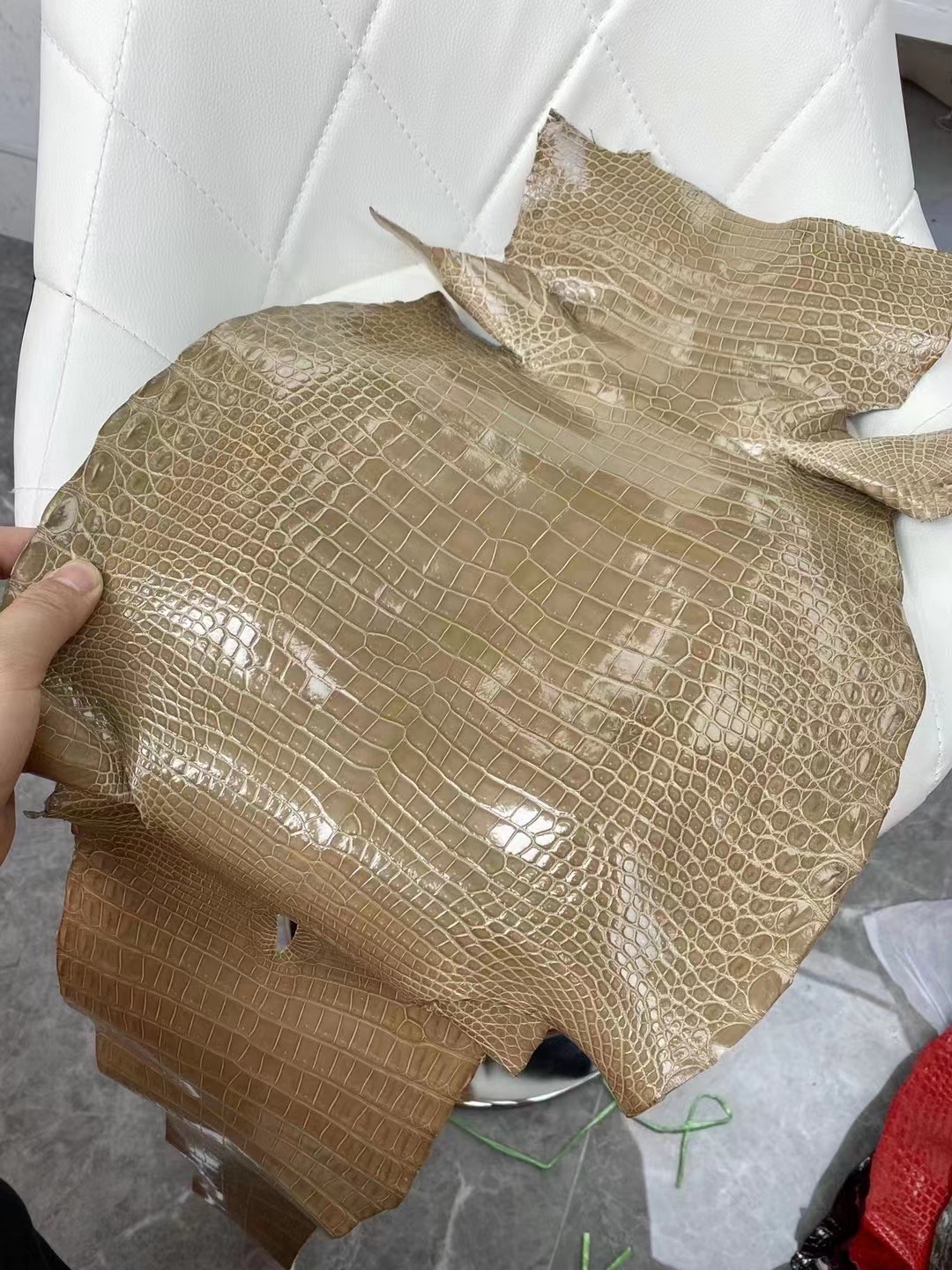 新到皮 亮面倒v 澳洲湾鳄🐊  1I Beige sable 沙米色 Shiny porosus crocodile 🉑 订制：BK 25cm、KL 25cm、接受订制👏