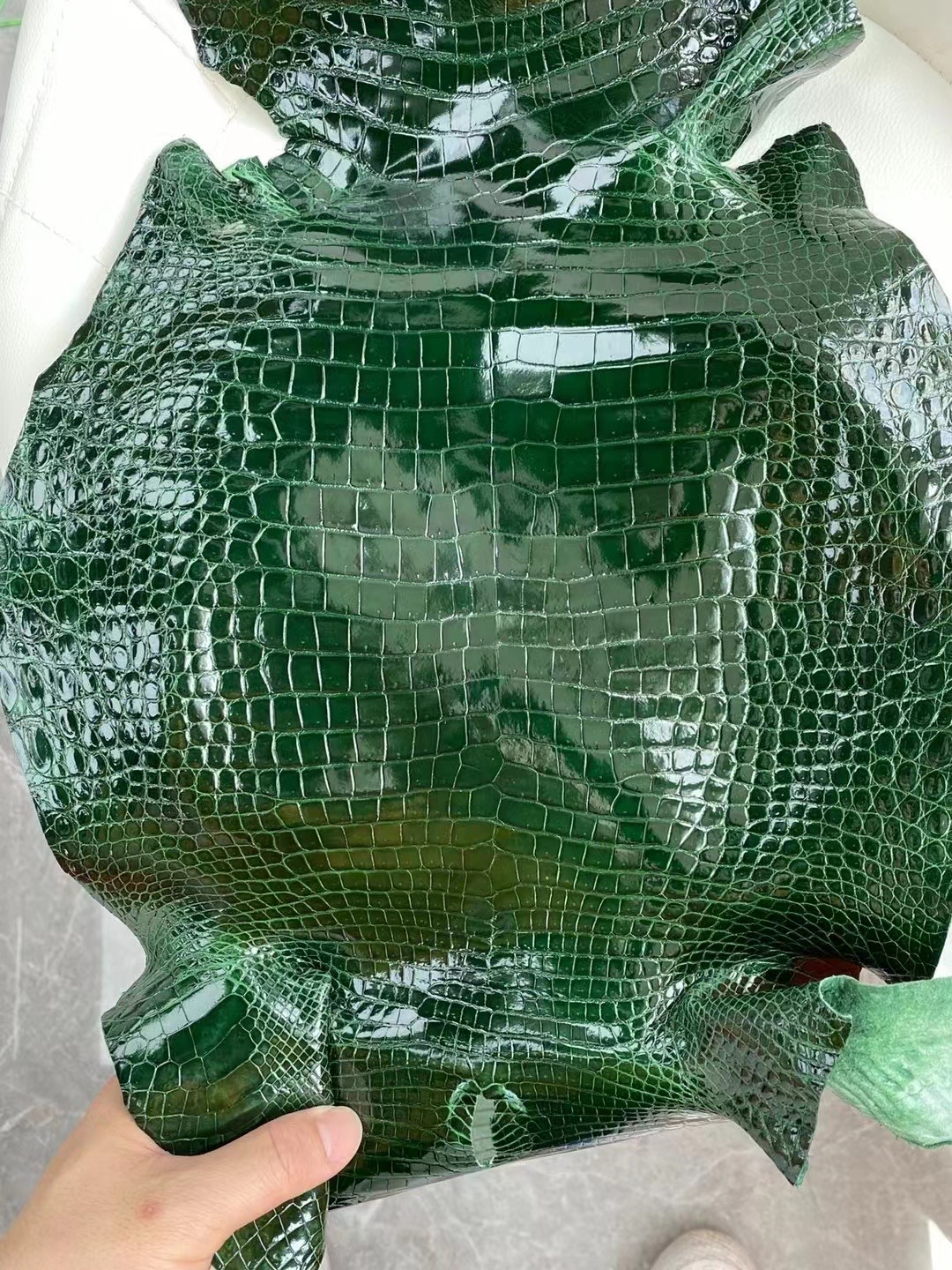 新到皮 亮面倒V 澳洲湾鳄🐊 67 Vert Fonce 祖母绿 Shiny porosus crocodile  🉑订制：BK 25cm、KL 25cm、接受订制👏