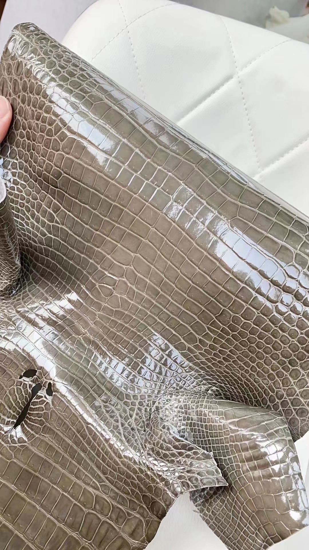 新到皮 亮面倒V 澳洲湾鳄🐊 81 Gris Tourterelle 斑鸠灰 Shiny porosus crocodile  🉑订制：BK 25cm、KL 25cm、接受订制👏