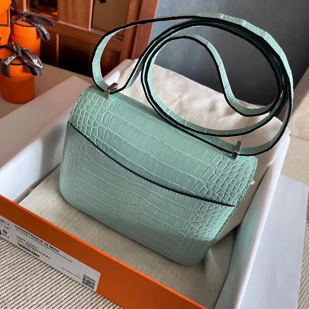 HM constance  19 crocodile 雾面美洲  6U Vert Deau 薄荷绿  银