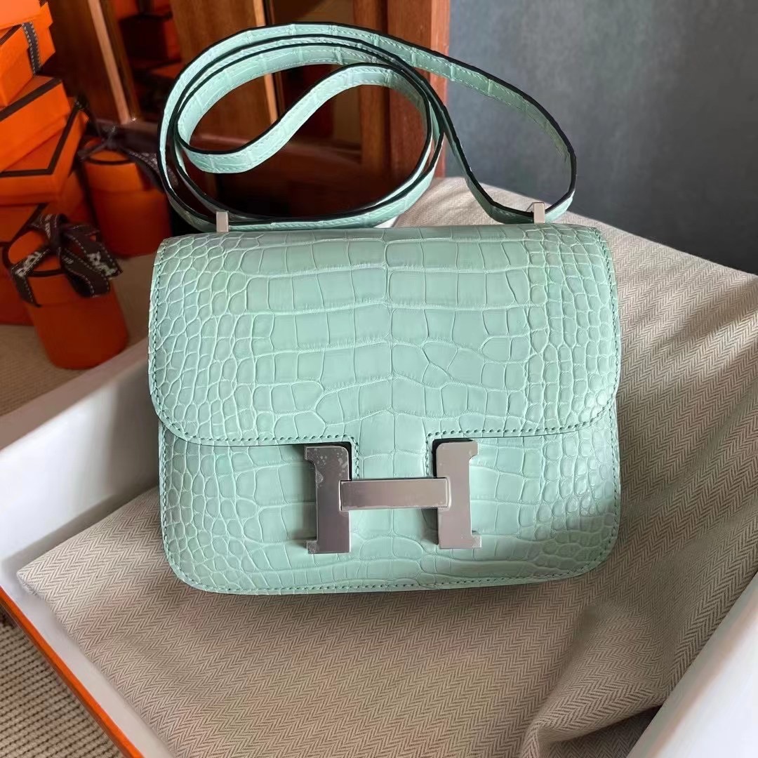 HM constance  19 crocodile 雾面美洲  6U Vert Deau 薄荷绿  银